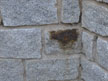Rost bei Granit Mauersteinen