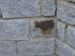 Rost bei Natursteinen